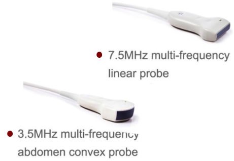 CScan® Android Ultrasound Scanner