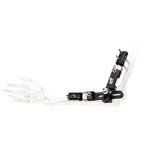 orthopedic-_0007s_0007_6100-0801